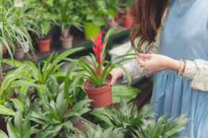 Harder work to source horticulture workers during Covid