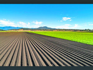 Multi-million-dollar rural property sales in the Scenic Rim in 2021