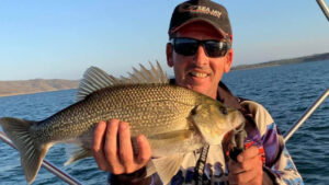 SEQ Pests: Noxious fish threaten SEQ waterways