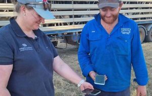 App closes gap for weak signal grazier woes