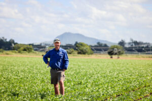 Moogerah irrigators get 96% allocation