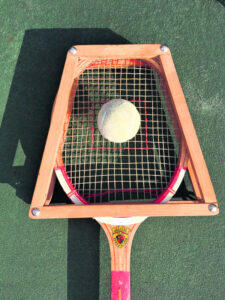 The Beauty of Life – No Cats Were Harmed