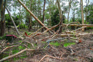 In the extreme – a thundering Christmas derecho