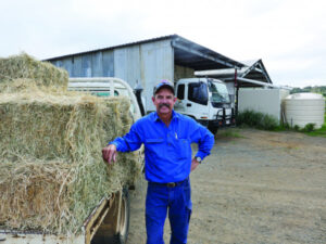 Turning soil into hay, farmers have golden touch