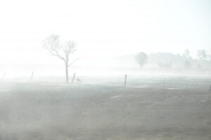 Tamborine burn off blankets Scenic Rim in smoke