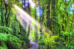 Scenic Rim now a certified eco-destination