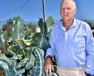 ‘Never seen before’ Dugandan grower’s crop surprise