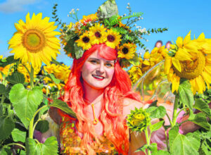 CHASING THE SUNFLOWERS