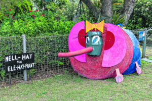 Carrot throwing comp, unlimited ride wristbands for Country Day 2024