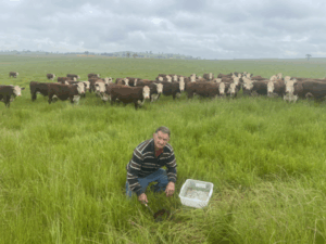 Farming beetles entomologist’s lifelong passion