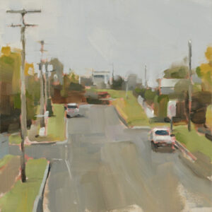 Artist’s eye for beauty has Boonah in mind