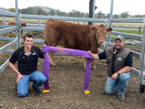Best bid on best Ekka beef by The Butcher Co