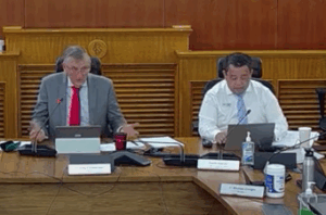 Acting CEO appointed … till end of current Council term