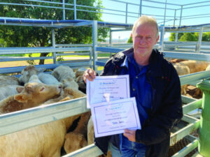 Charolais Cross weaners dominate the 3rd Silverdale Weaner Sale – Saturday 24th June 2023