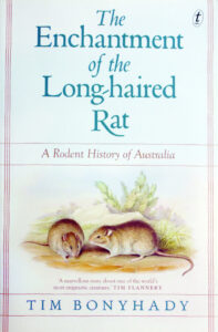 The Beauty of Life – The Enchanted Rat