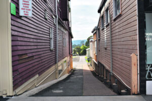 Makeover planned for newly acquired Maynard’s Lane