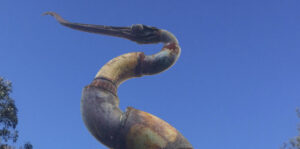 Kooralbyn’s Billabong Bird