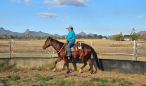 Ringers show how it’s done
