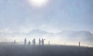 Fire emergency takes in all SEQ