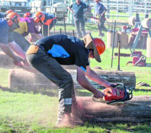 National chainsaw event at show