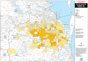 No more fire ants detected in Tarome after mystery outbreak