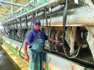 Work with crisis support line puts livestock loss into perspective