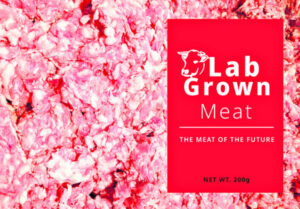 Don’t mince words, definition of meat under scrutiny