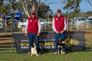 Best mates and colleagues, handlers love their dogs
