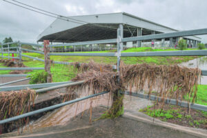 Flash flooding as storms hit parts of Scenic Rim