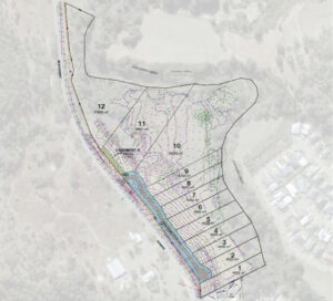 Move to extend approval to Canungra subdivision