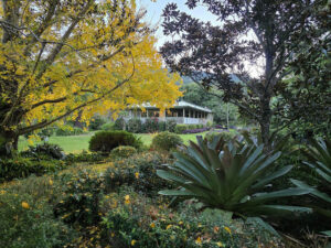 BLOCK ON THE CREEK WITH AN ORCHARD