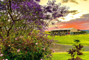 On the planners desk