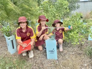 Natives nurtured at Roadvale
