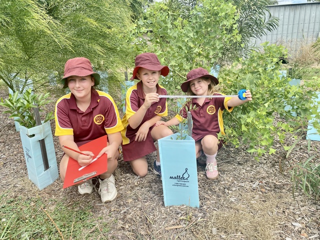 Natives nurtured at Roadvale