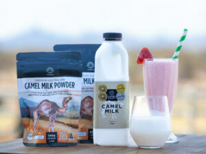 Milking the American dream