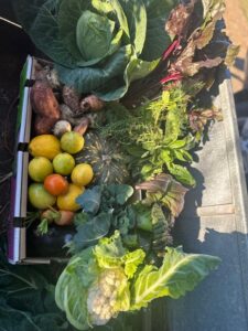 Harvesting shared connections