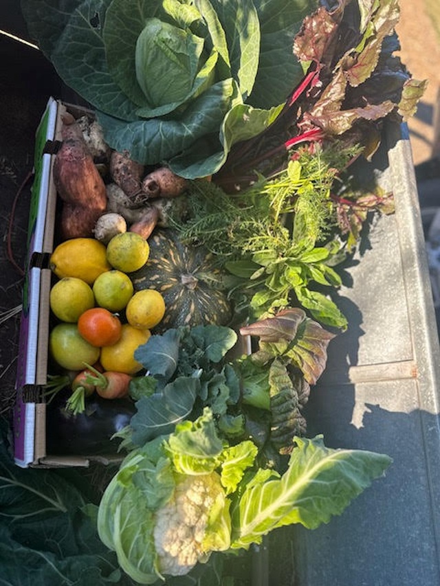 Harvesting shared connections