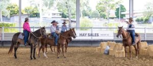 Super utility a strong success