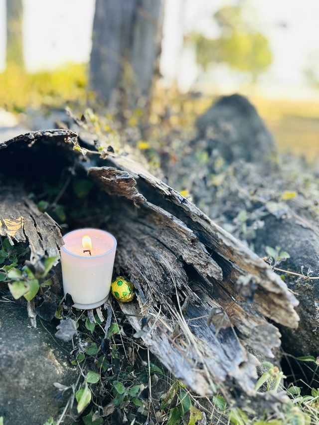 Parts of the body of Christ